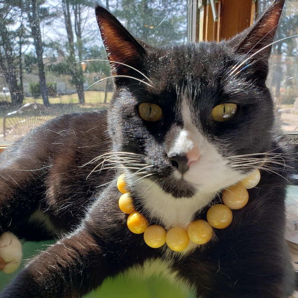 Meet your Posher, Marie